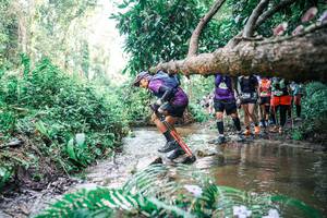 BIB: 
                            <button type="button" onclick="openModal(25477110)" class="btn btn-primary btn-sm float-right btn-popup" data-toggle="modal" data-target=".modal-high-quality">
                        <i class="fas fa-shopping-cart"></i> Add to Cart
                    </button>
                                            <button type="button" onclick="isThisMe(25477110, true)" class="btn btn-success btn-sm float-right btn-popup btn-isme hidden" data-toggle="tooltip" data-placement="bottom" title="นี่คือรูปของคุณใช่ไหม คลิกที่นี่เพื่อเอาเข้าอัลบั้ม">
                        <i class="fas fa-plus"></i> Add to album
                    </button>
                    <button type="button" onclick="isThisMe(25477110, false)" class="btn btn-warning btn-sm float-right btn-popup btn-isnotme hidden">
                        <i class="fas fa-ban"></i> Remove from album
                    </button>